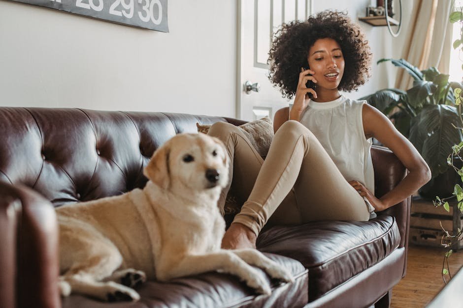 Unlock Your Sales Potential: The Three Best Cold Call Scripts to Secure Homeowner Listings